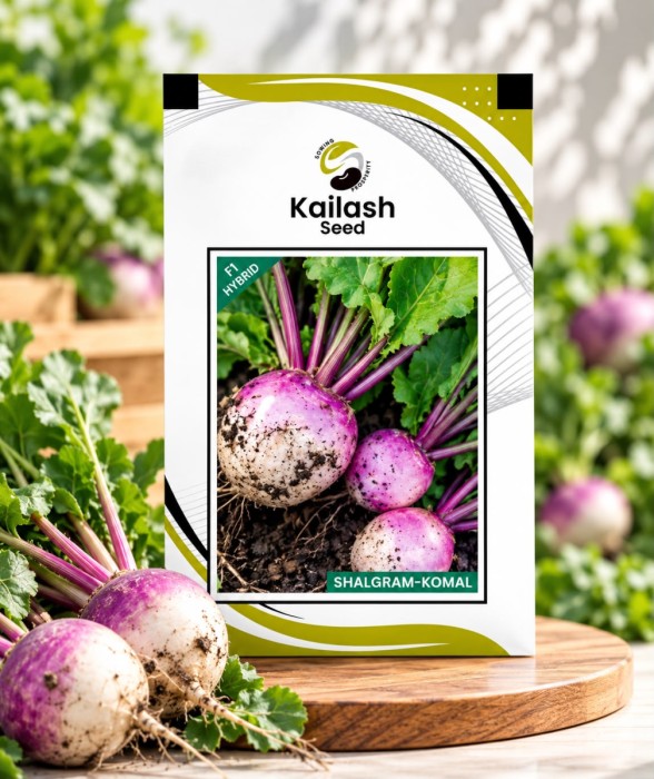 Turnip(Salgam)