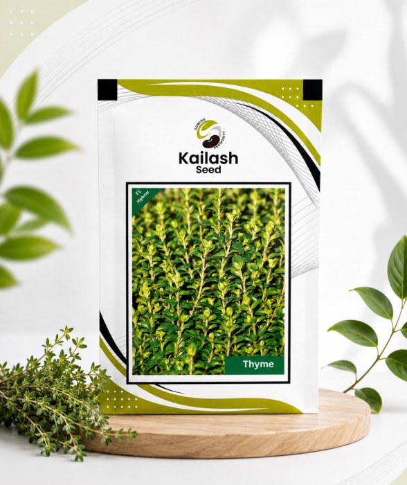 Thyme