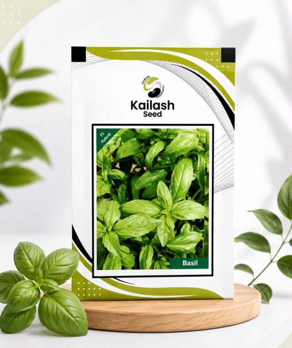 Basil