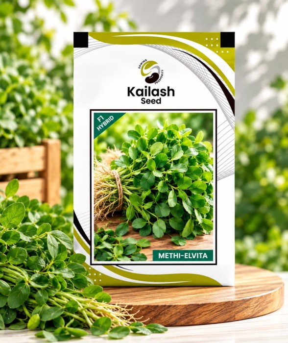 Fenugreek(Methi)