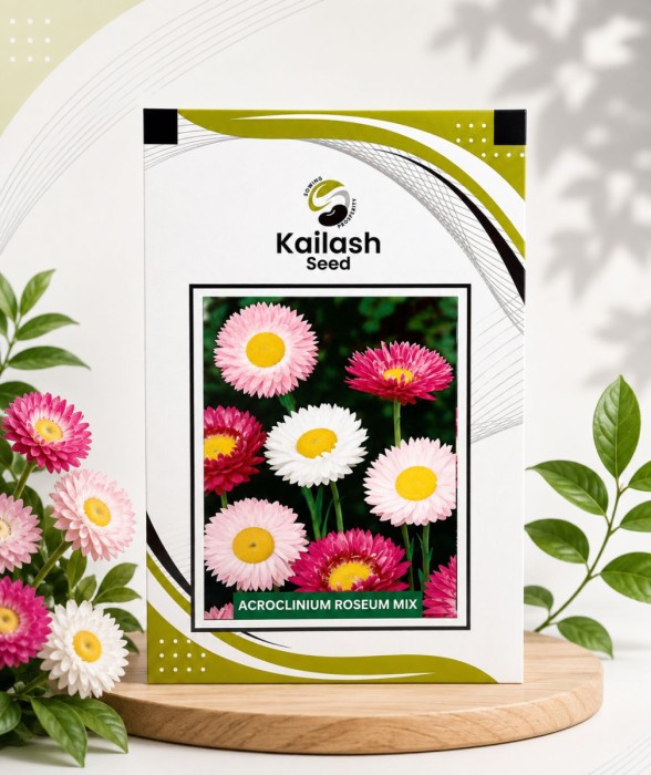 Acroclinium Roseum Mix