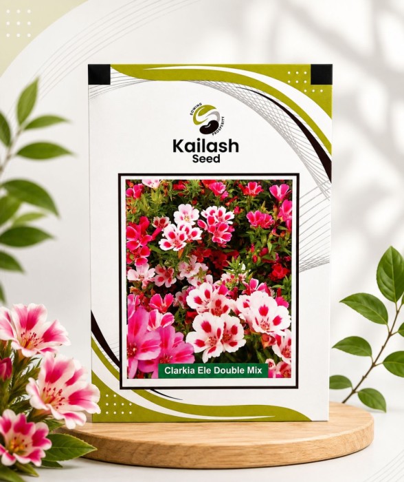 Clarkia Ele Double Mix