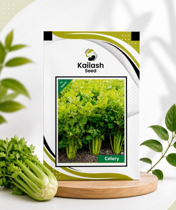 Celery