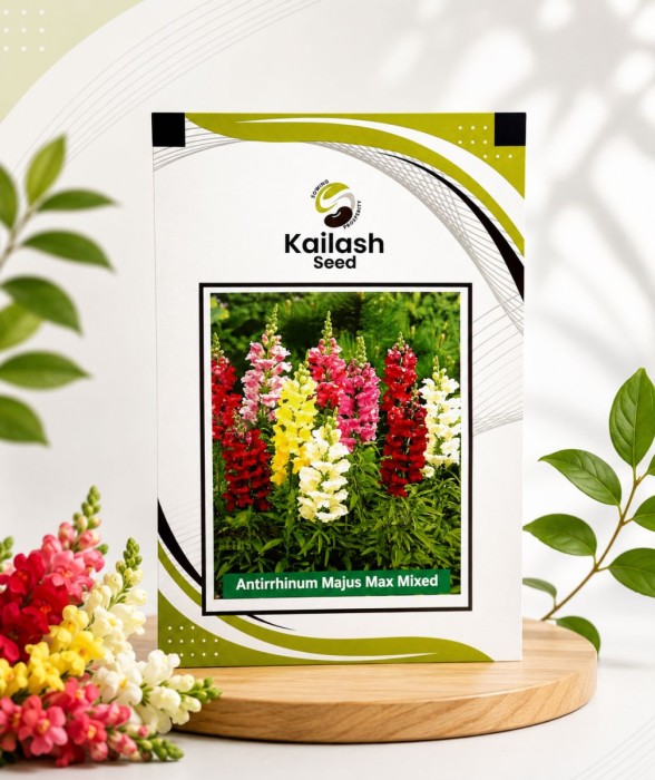 Antirrhinum Majus Mixed