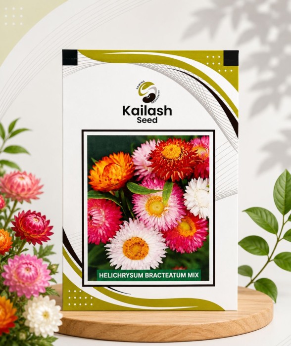 Helichrysum Bracteatum Mix