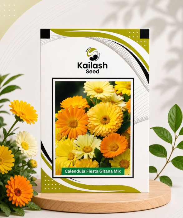 Calendula Fiesta