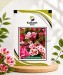 Clarkia Ele Double Mix - Image 1