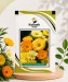 Calendula Fiesta - Image 1