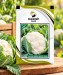 Cauliflower - Image 1